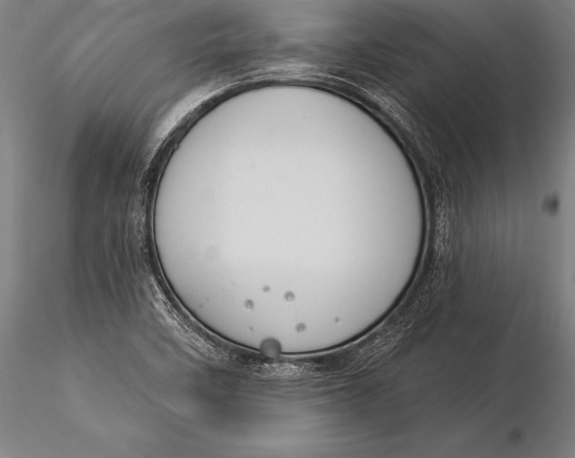 X0000116031458200912111404