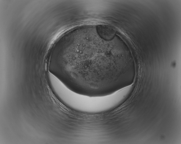 X0000116031459200912111404