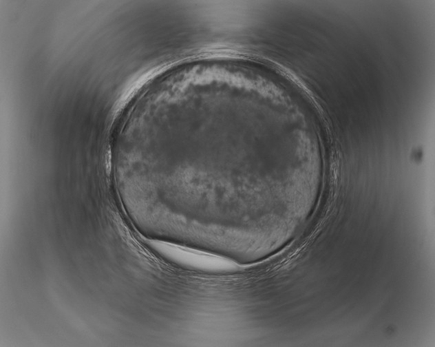 X0000116031461200912111404