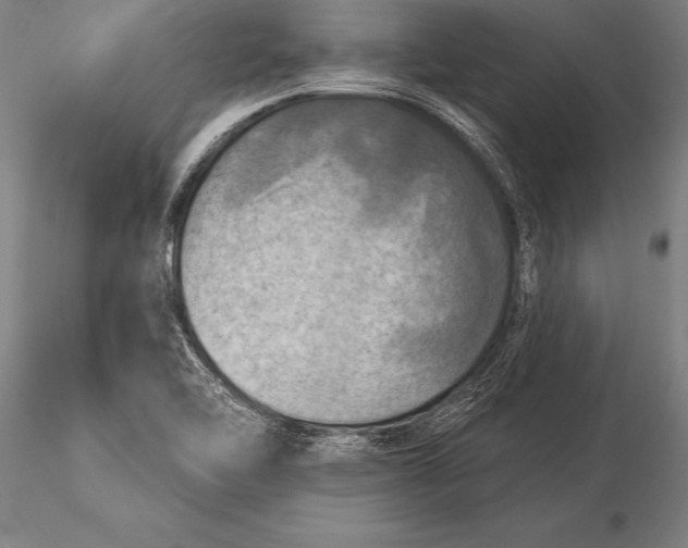 X0000116031462200912111404