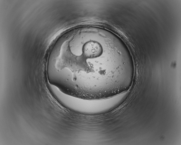 X0000116031463200912111404