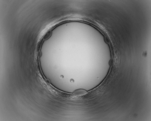 X0000116031464200912111404