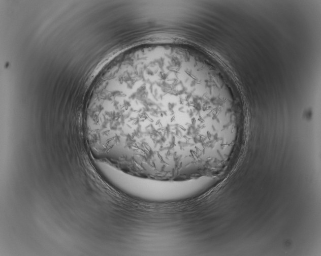 X0000116031465200912111404