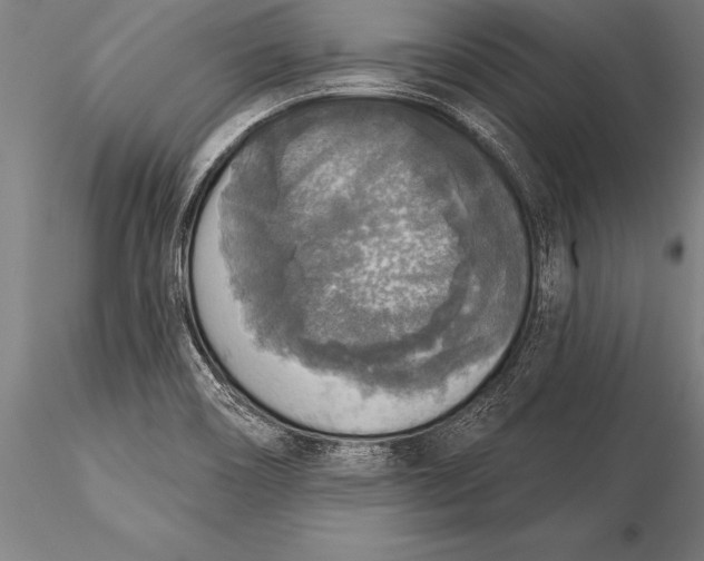 X0000116031466200912111404