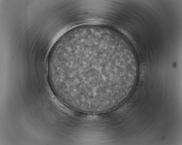 X0000116031467200912111404