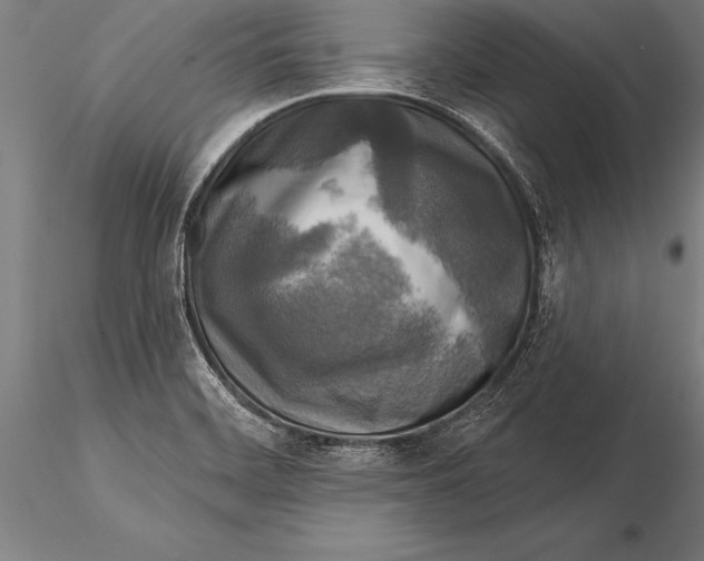 X0000116031468200912111404