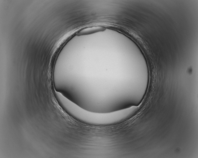 X0000116031469200912111404