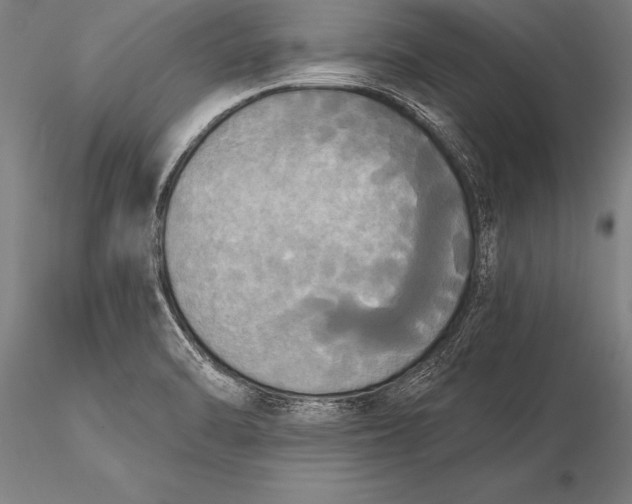 X0000116031470200912111404