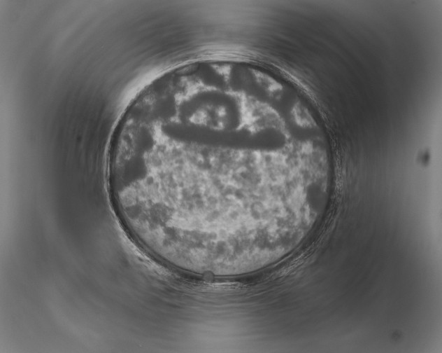 X0000116031471200912111404