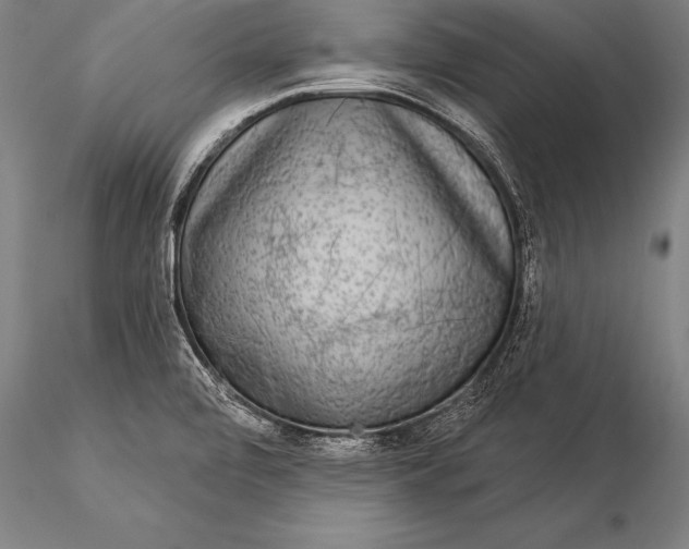 X0000116031472200912111404