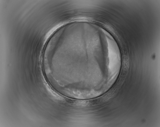 X0000116031474200912111404