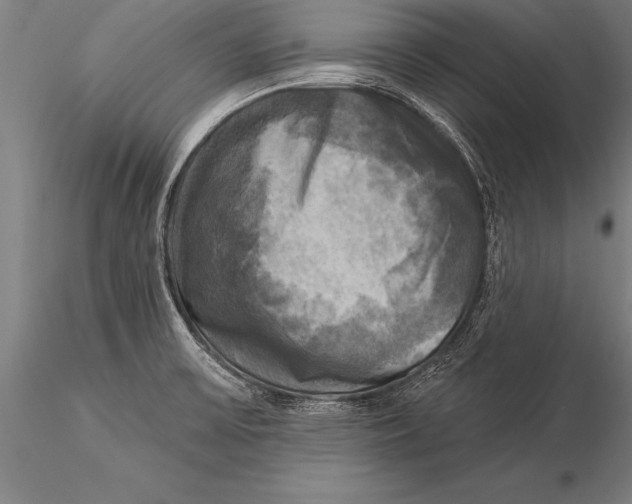 X0000116031475200912111404