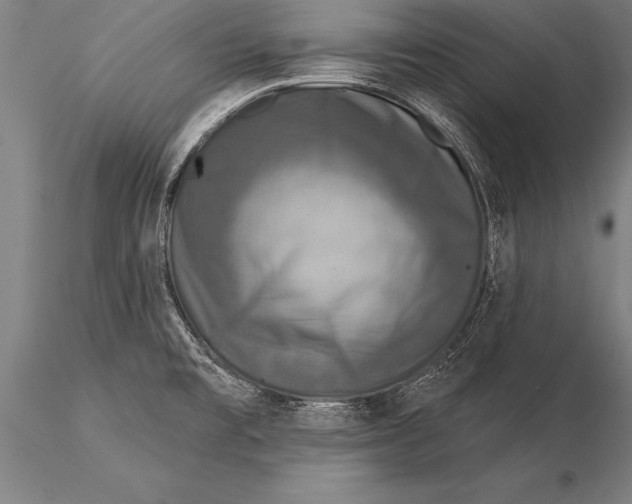 X0000116031477200912111404