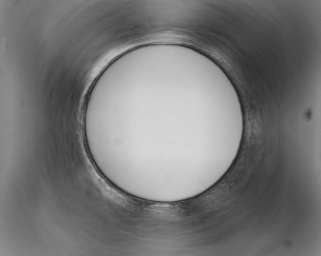 X0000116031478200912111404