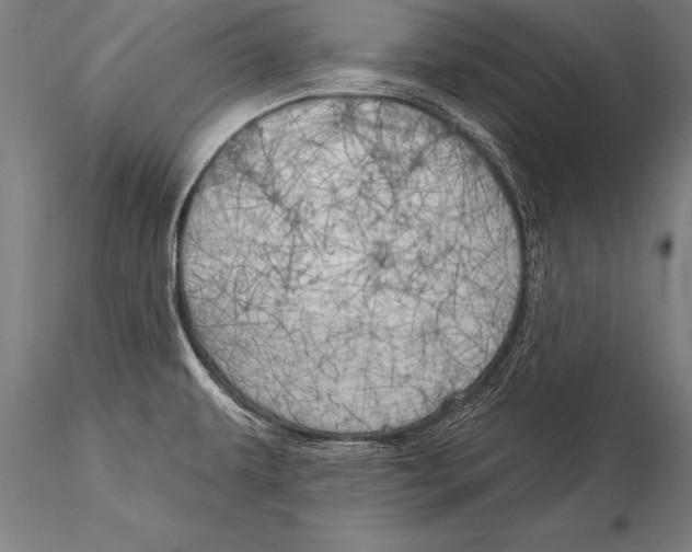 X0000116031479200912111404