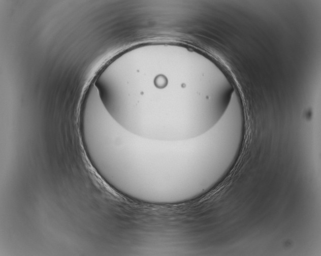 X0000116031480200912111404