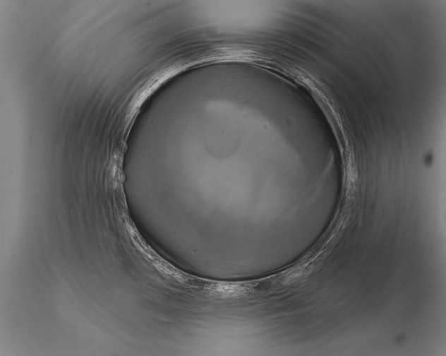 X0000116031481200912111404