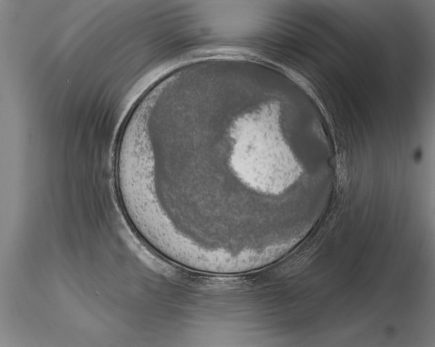 X0000116031482200912111404