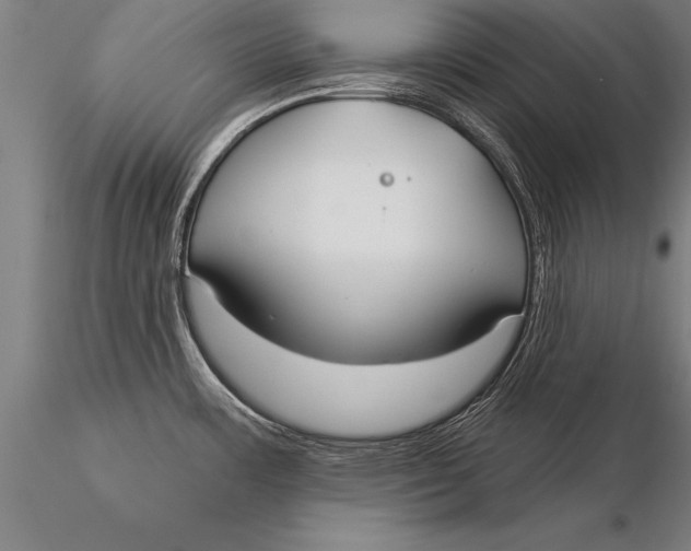 X0000116031483200912111404