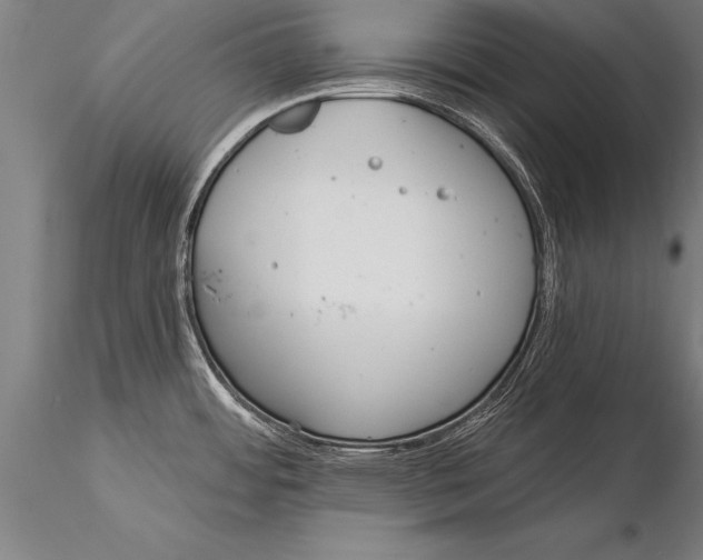 X0000116031484200912111404