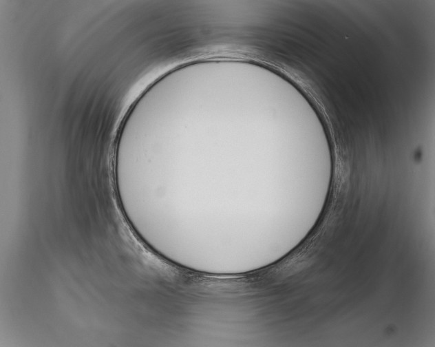 X0000116031486200912111404