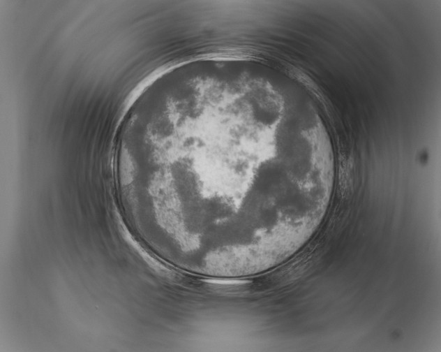 X0000116031487200912111404