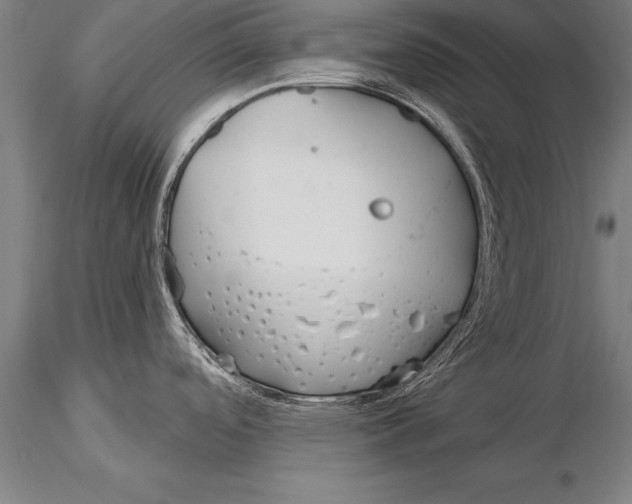 X0000116031488200912111404