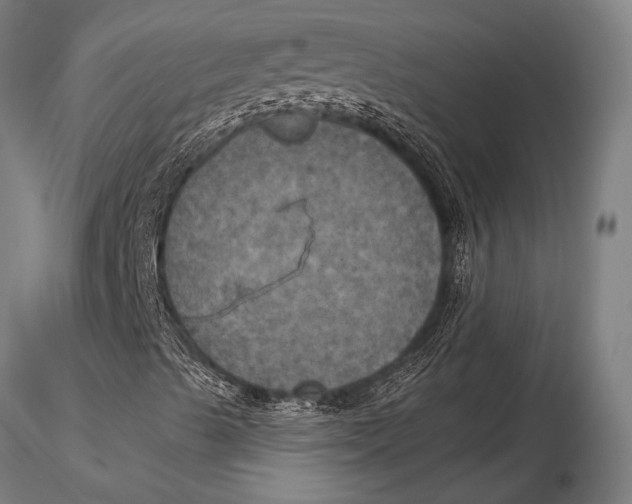 X0000116031489200912111403