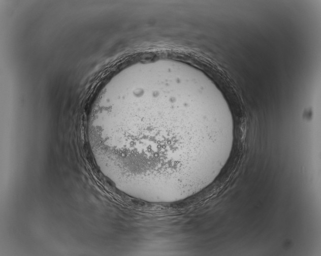 X0000116031493200912111403