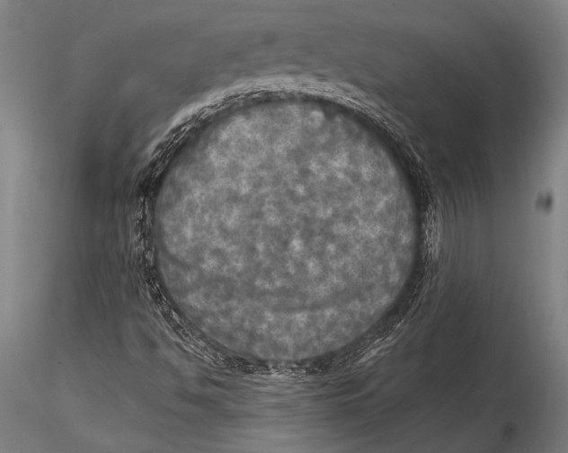 X0000116031494200912111403