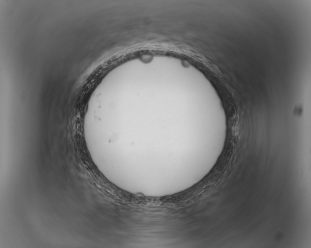 X0000116031495200912111403