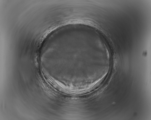 X0000116031497200912111403