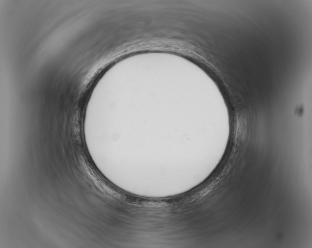 X0000116031498200912111403