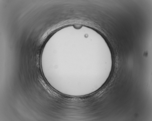 X0000116031499200912111403