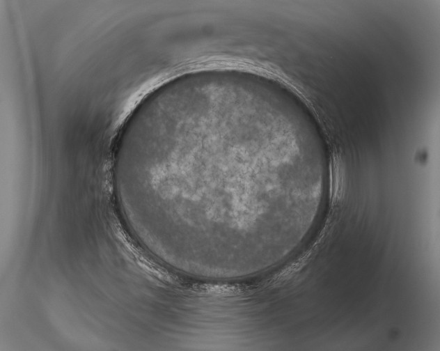 X0000116031501200912111403