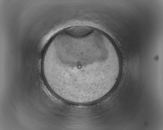 X0000116031503200912111403