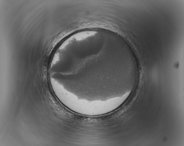 X0000116031505200912111403