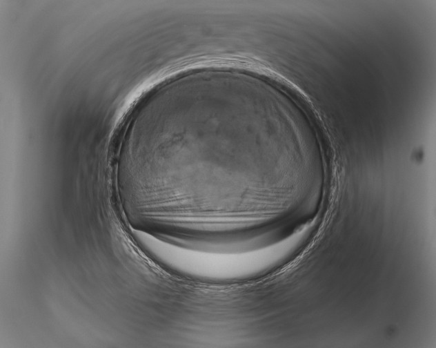 X0000116031506200912111403