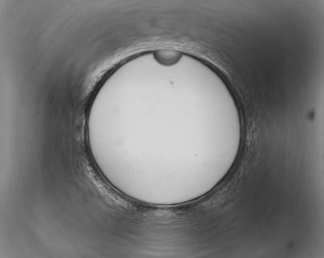 X0000116031507200912111403