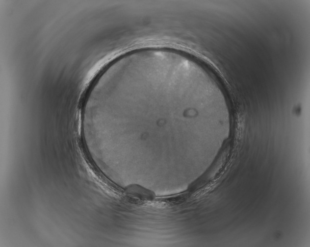 X0000116031509200912111403