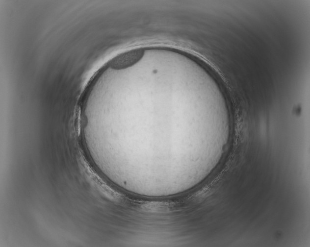 X0000116031510200912111403