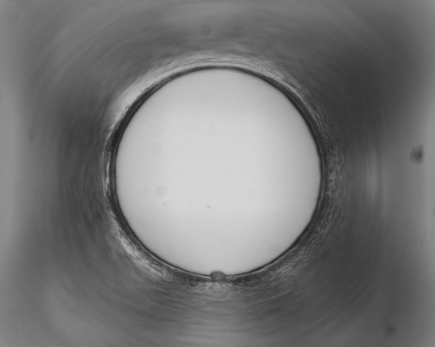 X0000116031511200912111403