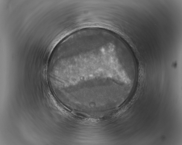 X0000116031513200912111403