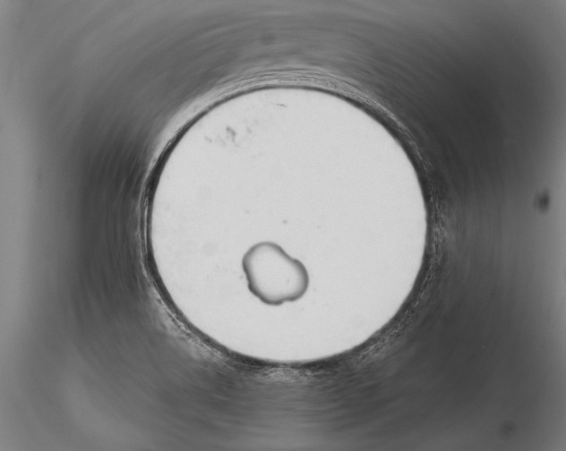 X0000116031514200912111403