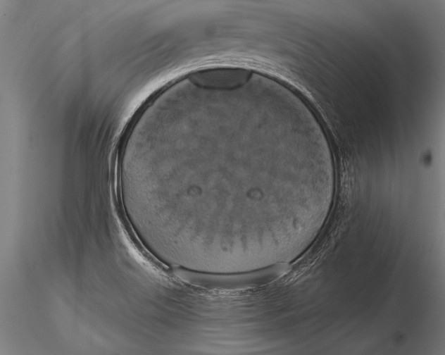 X0000116031515200912111403