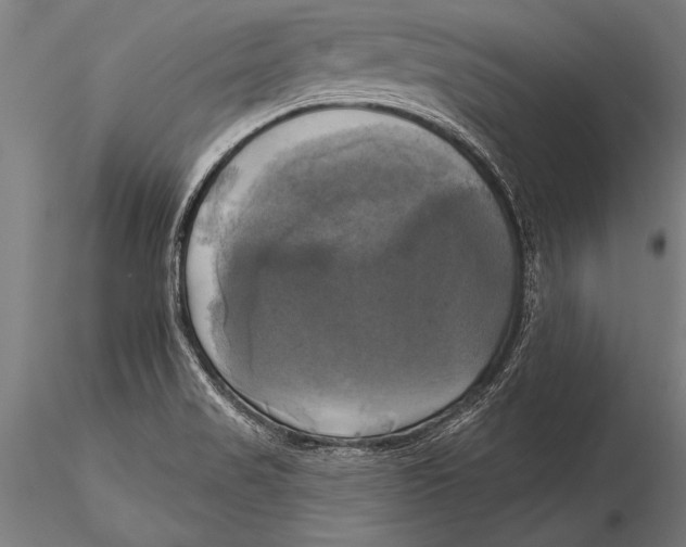 X0000116031517200912111403