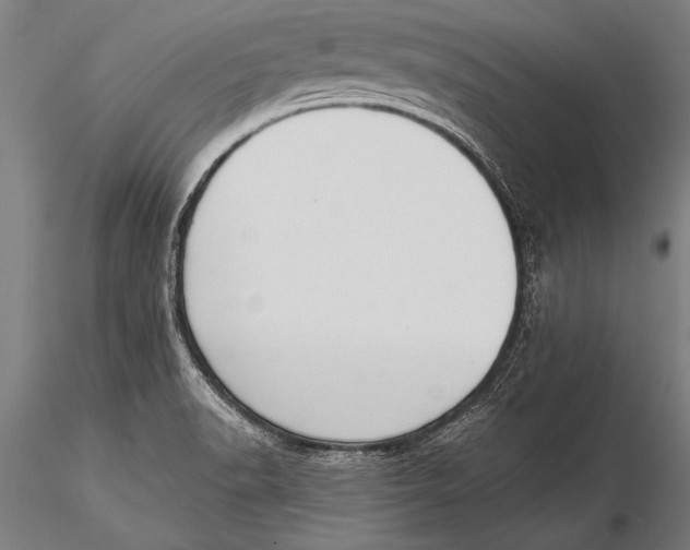 X0000116031518200912111404