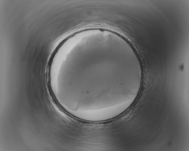 X0000116031519200912111404