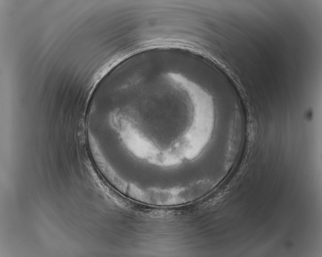 X0000116031521200912111404