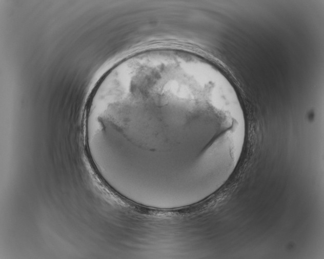 X0000116031522200912111404